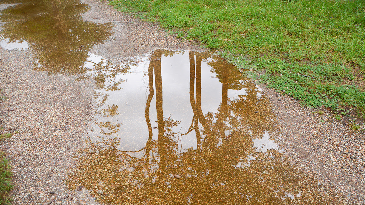 Why New Jersey Soil Retains Water