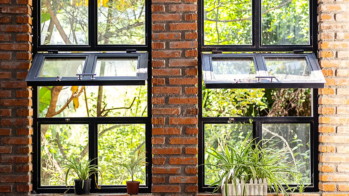 General Window Style